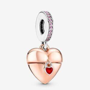 Pandora charms